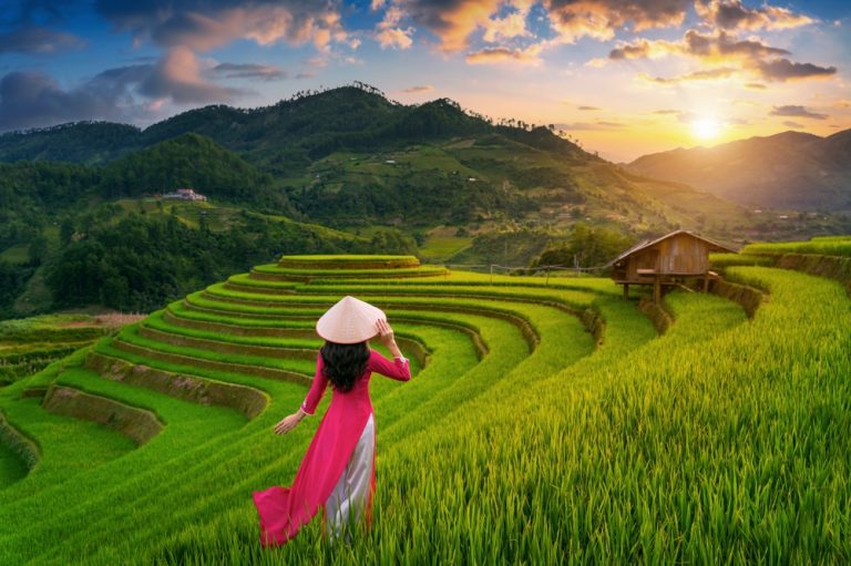 Vietnam Holidays Plan D